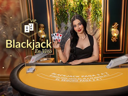 VIP Blackjack en Español 5 game screenshot